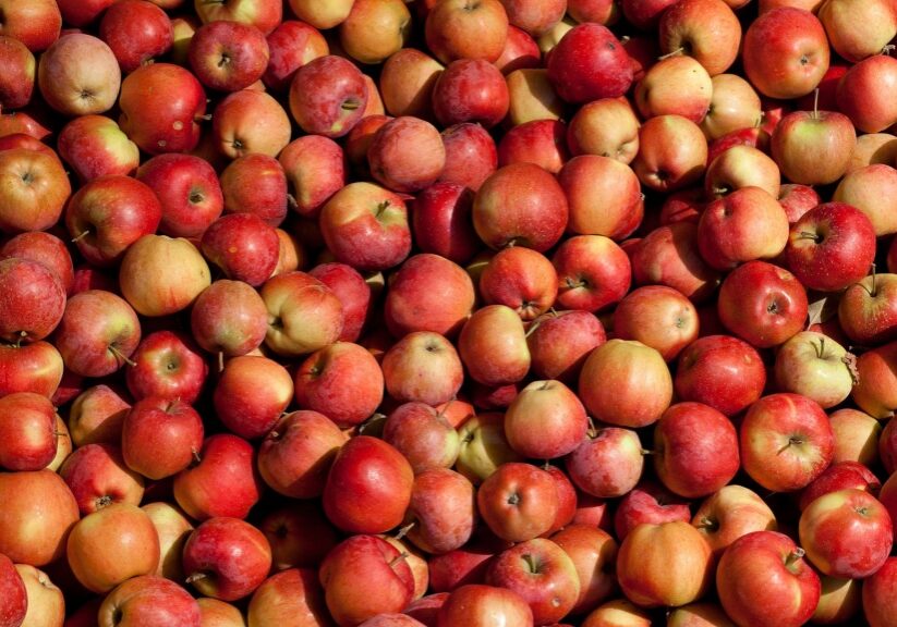 Apples